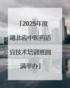 2025年度湖北省中医药适宜技术培训班圆满举办
